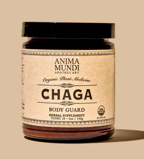 CHAGA | Body Guard